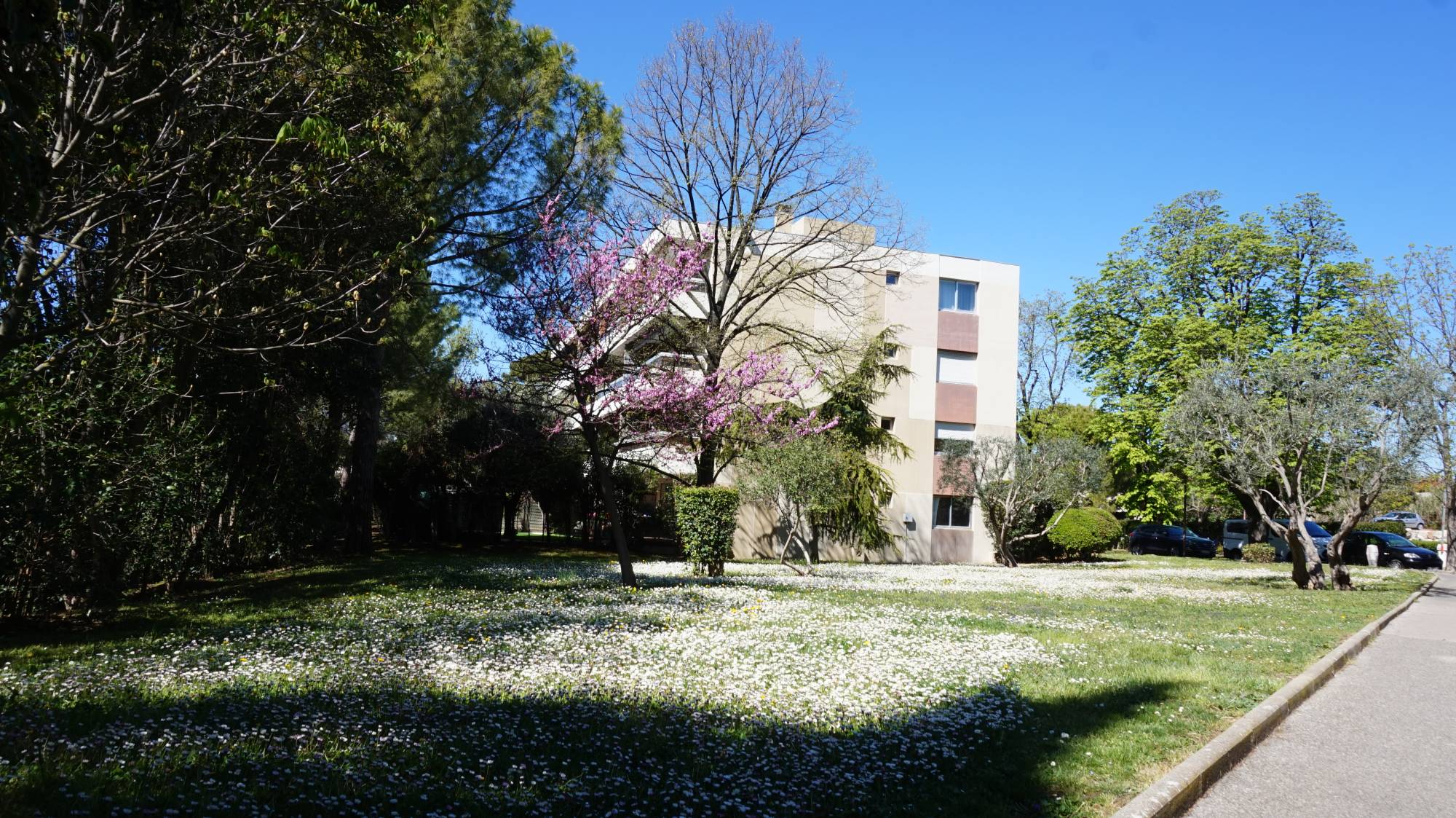 Provencia immobilier vous présente à la vente, proche du village de Bois Luzy et du village de Montolivet 13012 un appartement 3 chambres avec bel espace de vie d'une superficie totale de 95.78 m².