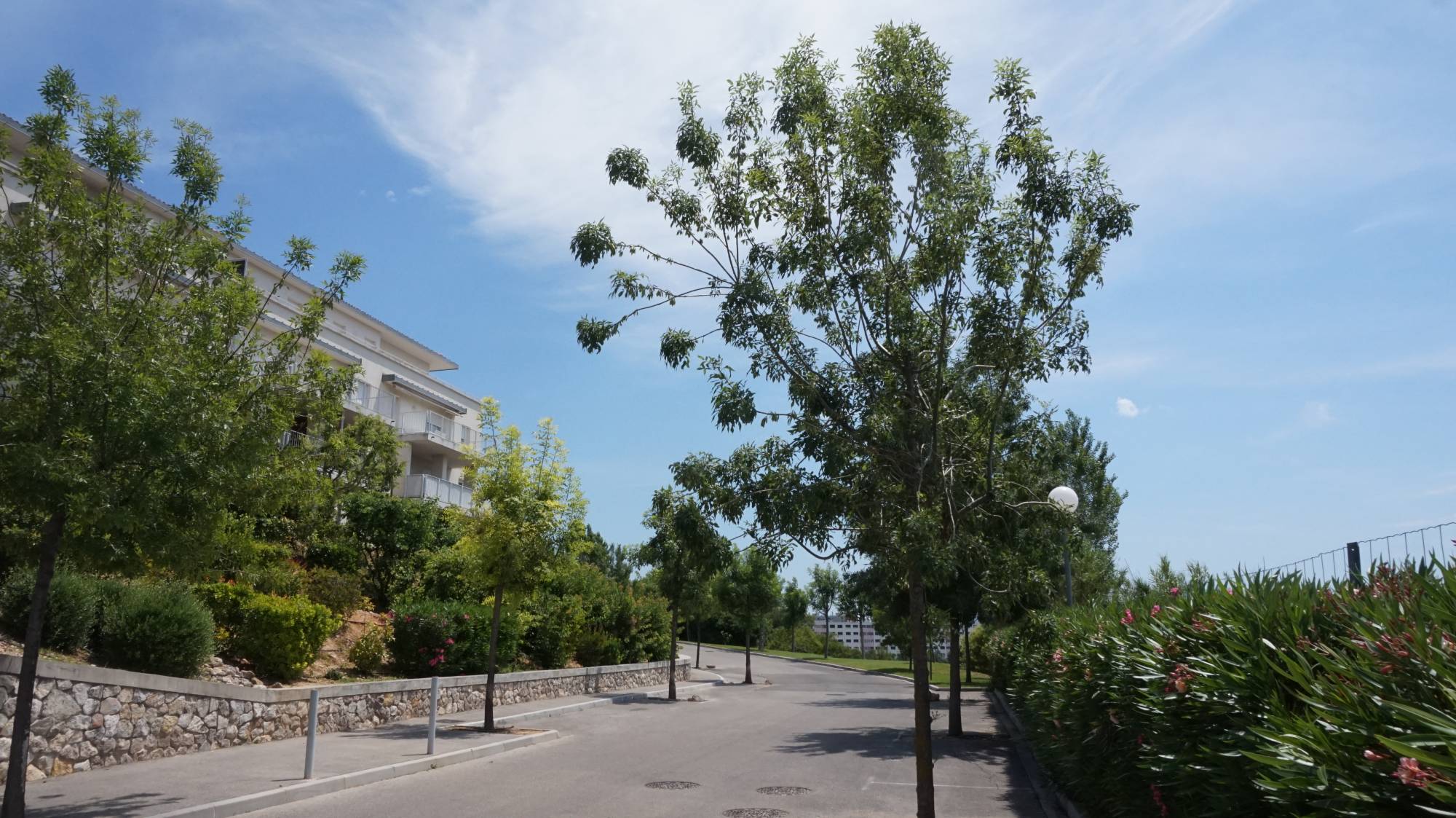 A vendre  3 pièces 59 m² avec terrasse et place de parking privative dans résidence récente  Chateau Gombert 13013