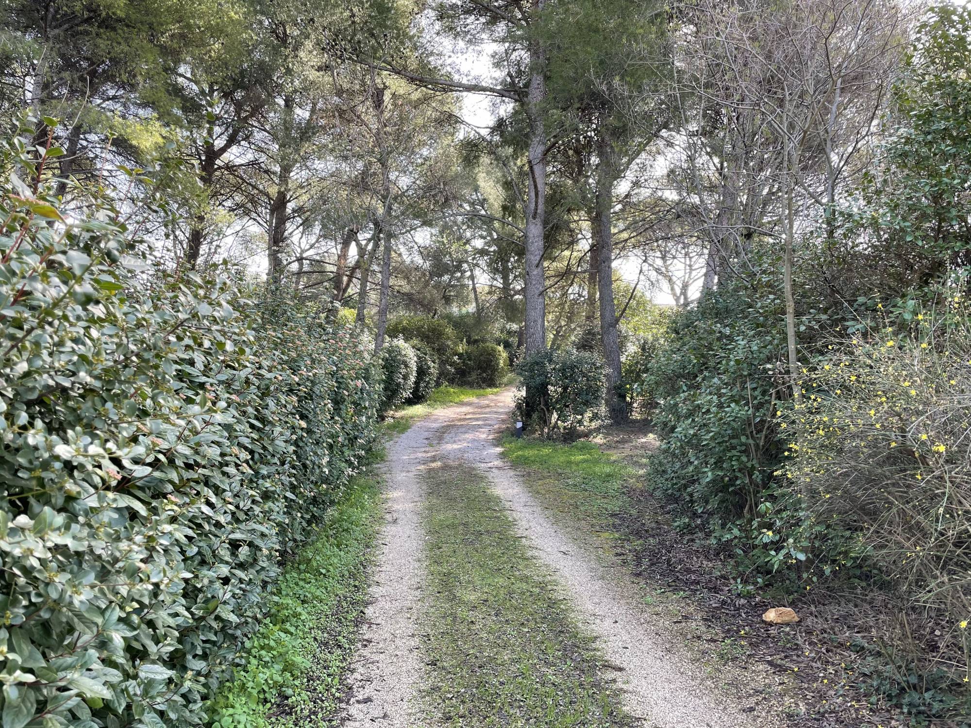 A vendre sur magnifique parc arboré de 7 600 m², villa d'architecte des années 80 de 172 m² avec garage, piscine niché au cœur du 12ème arrondissement de Marseille proche du village des Trois Lucs 13012 Marseille