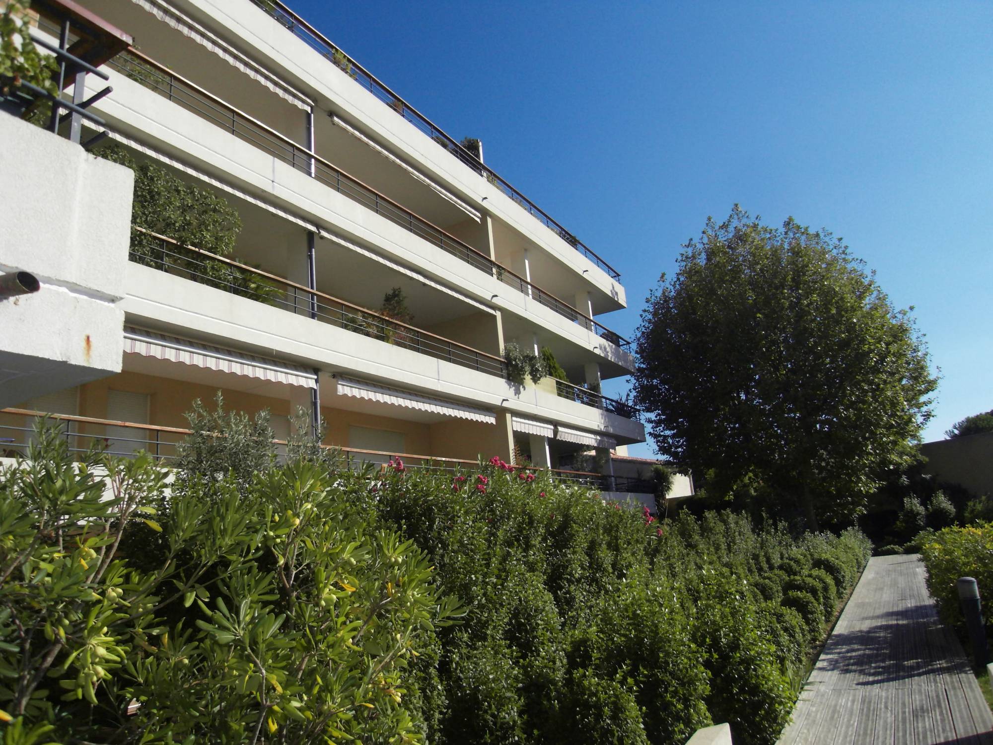 Investissement locatif -  Appartement 3 pièces avec grande terrasse en rdc Bois Luzy 13012 Marseille