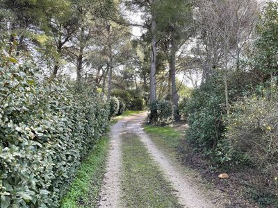 A vendre sur magnifique parc arboré de 7 600 m², villa d'architecte des années 80 de 172 m² avec garage, piscine niché au cœur du 12ème arrondissement de Marseille proche du village des Trois Lucs 13012 Marseille