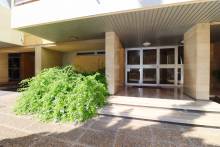 A vendre appartement 3 pièces Prado Paradis 13008 Marseille 